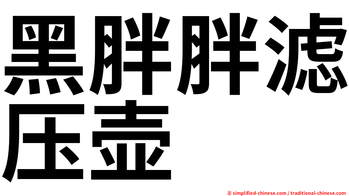 黑胖胖滤压壶