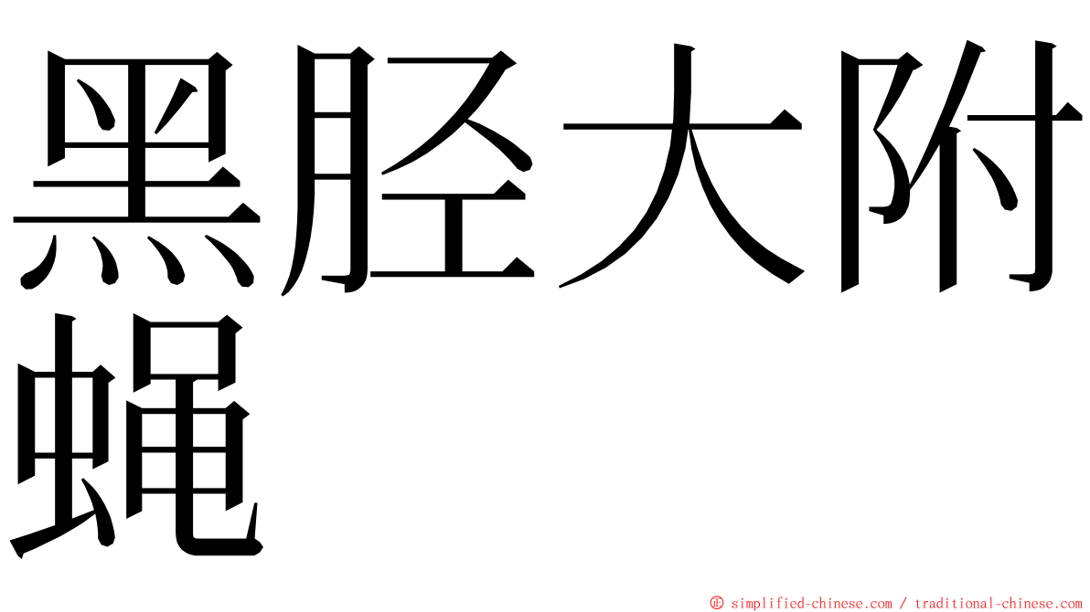 黑胫大附蝇 ming font