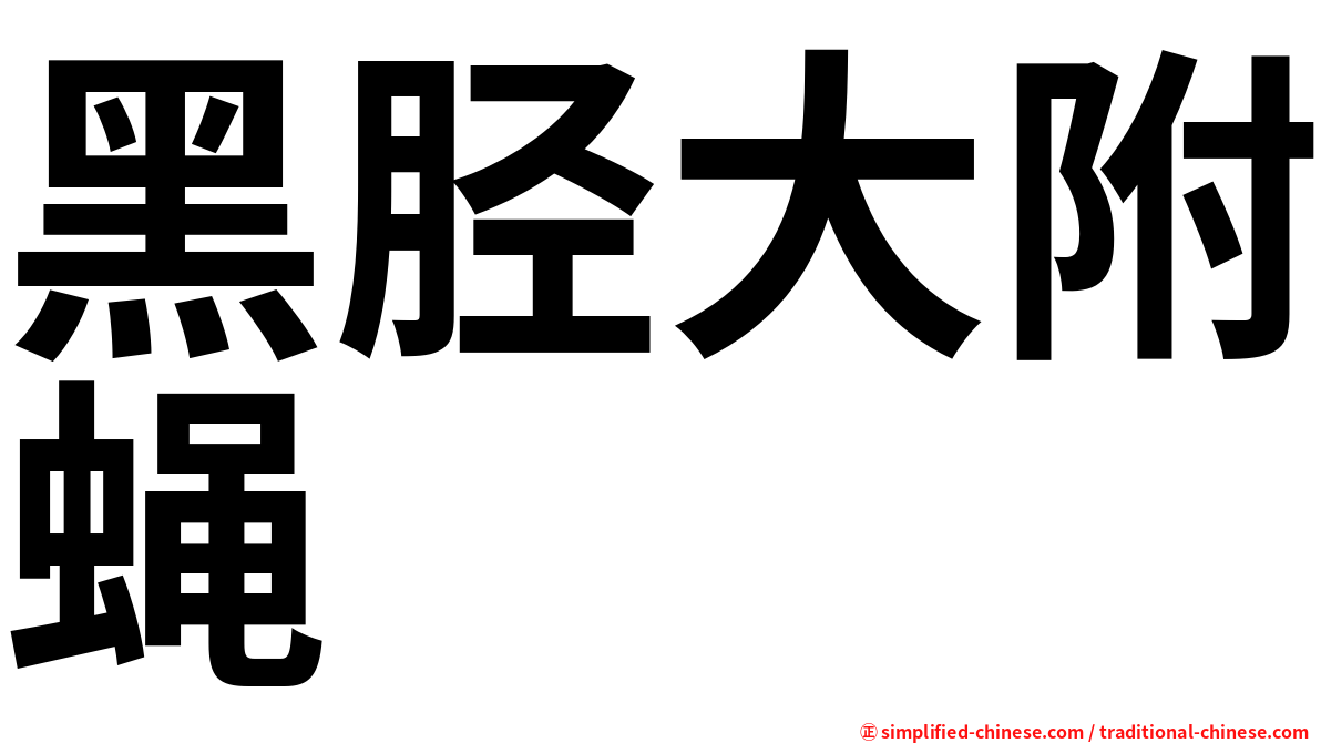 黑胫大附蝇