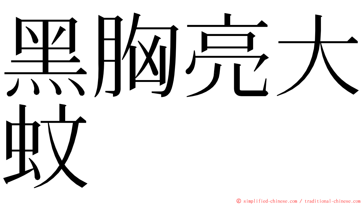 黑胸亮大蚊 ming font