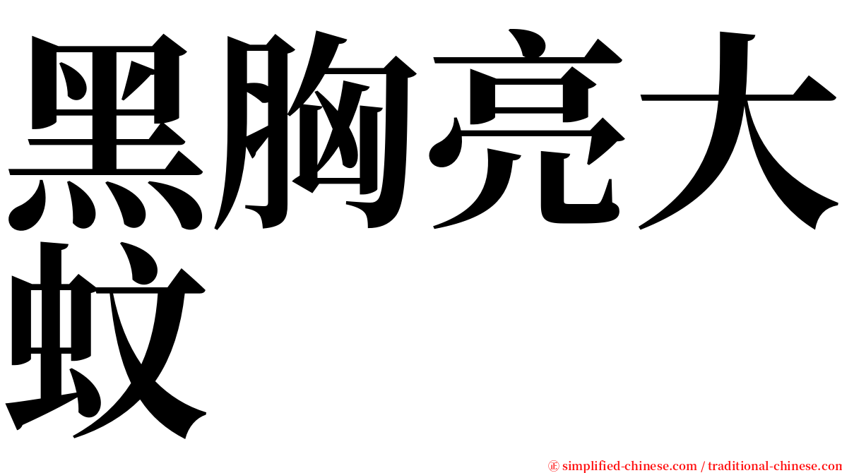 黑胸亮大蚊 serif font