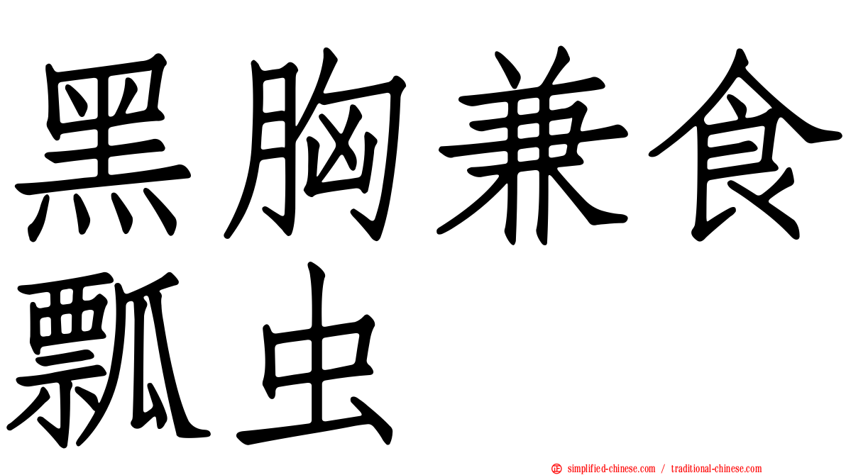 黑胸兼食瓢虫