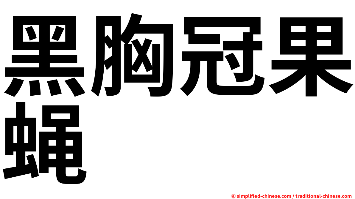 黑胸冠果蝇