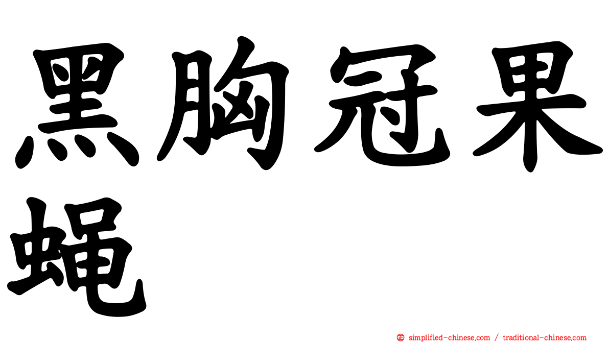 黑胸冠果蝇