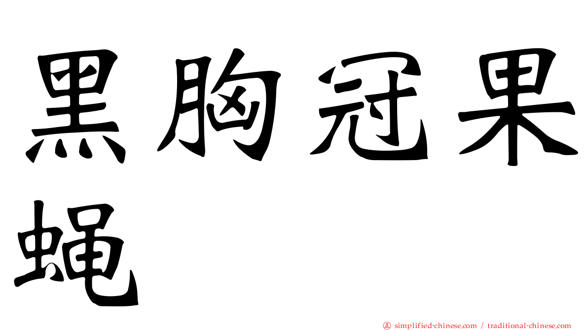 黑胸冠果蝇