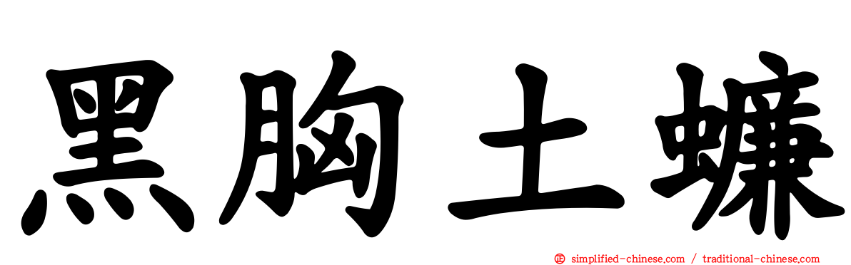 黑胸土蠊
