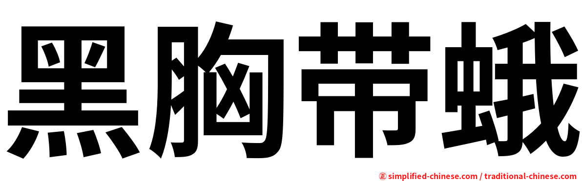 黑胸带蛾