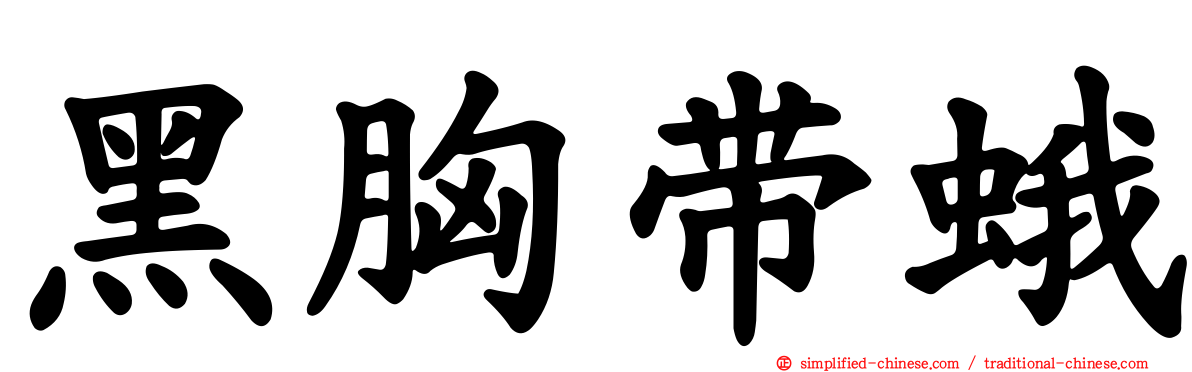 黑胸带蛾