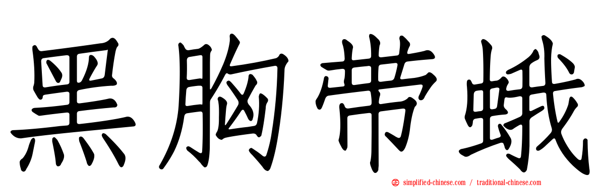 黑胸带蛾