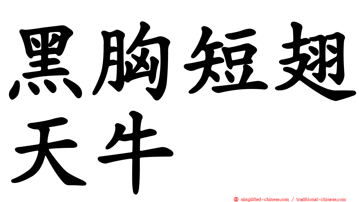 黑胸短翅天牛