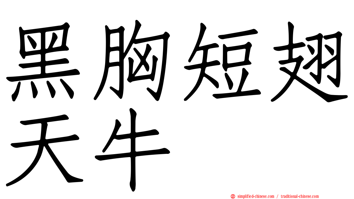 黑胸短翅天牛
