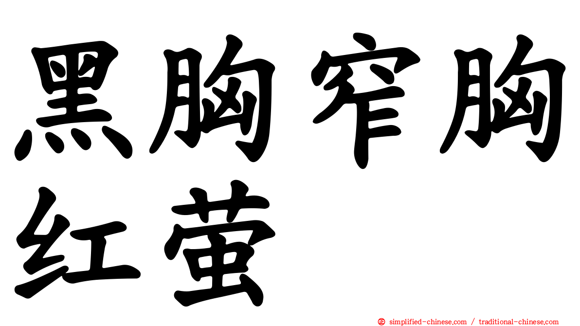 黑胸窄胸红萤