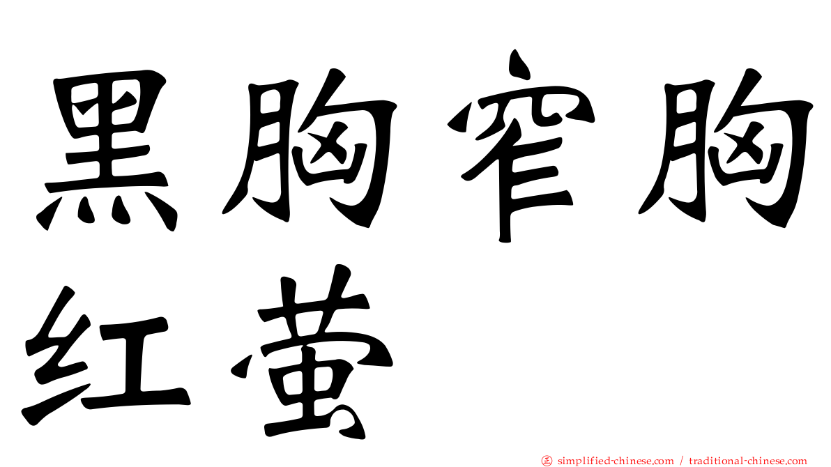 黑胸窄胸红萤