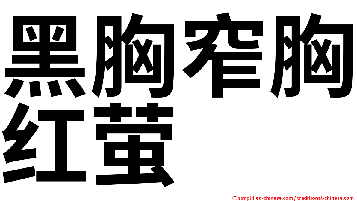 黑胸窄胸红萤