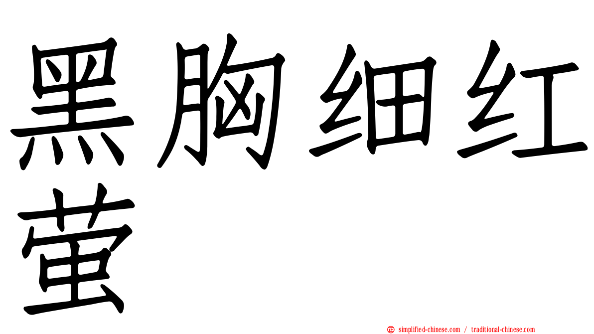 黑胸细红萤