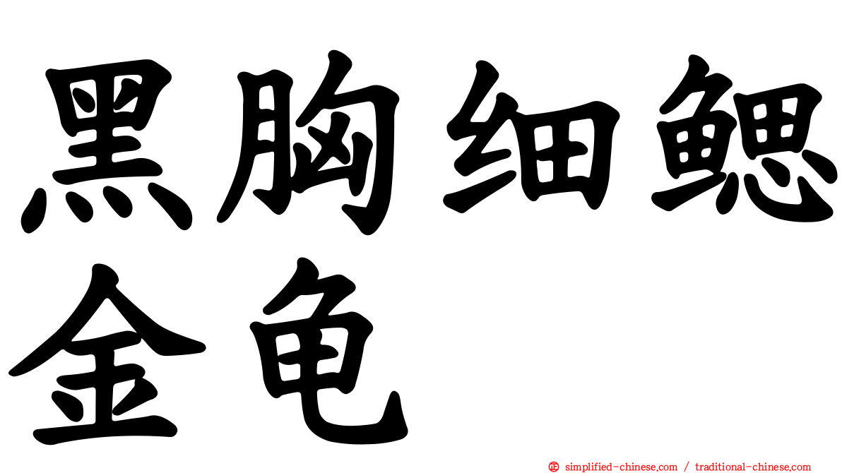 黑胸细鳃金龟