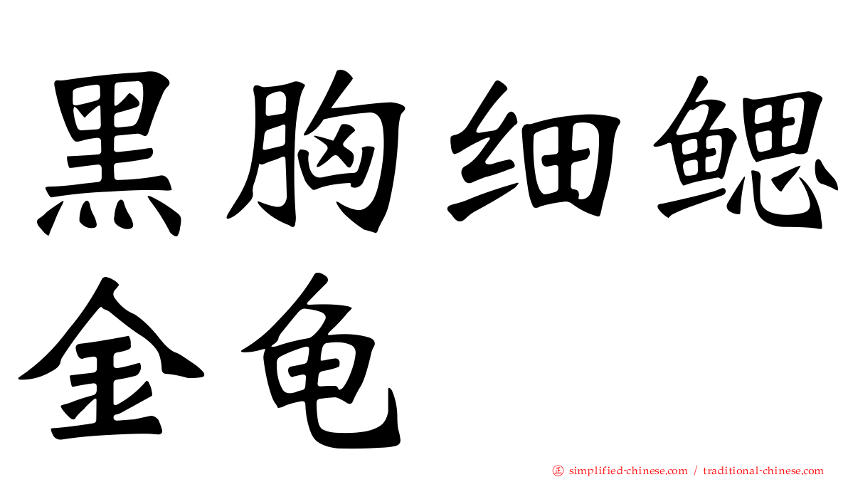 黑胸细鳃金龟