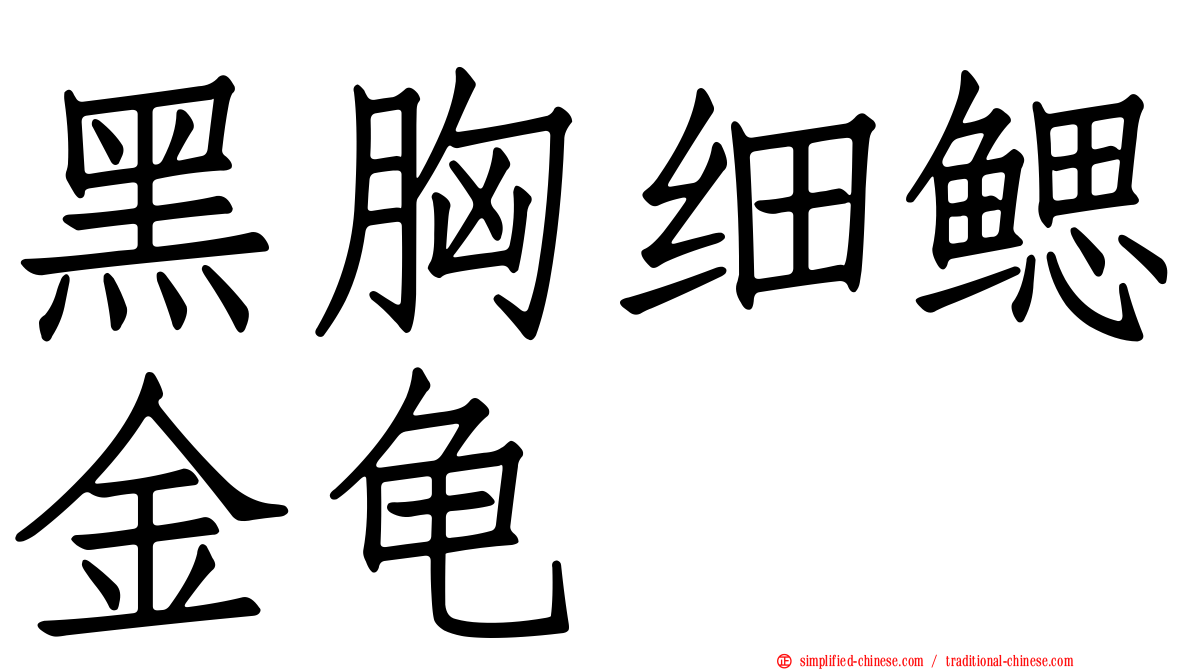 黑胸细鳃金龟