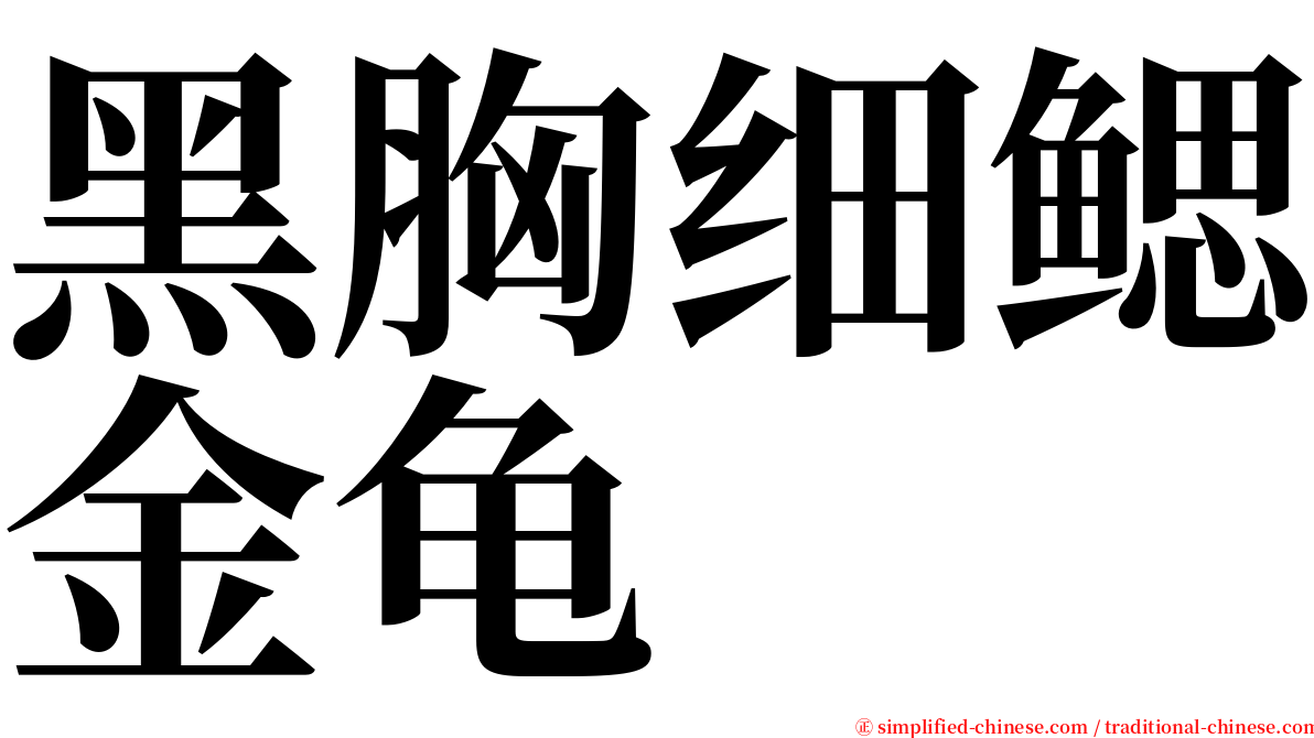 黑胸细鳃金龟 serif font