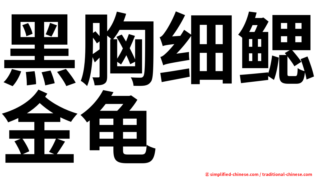 黑胸细鳃金龟