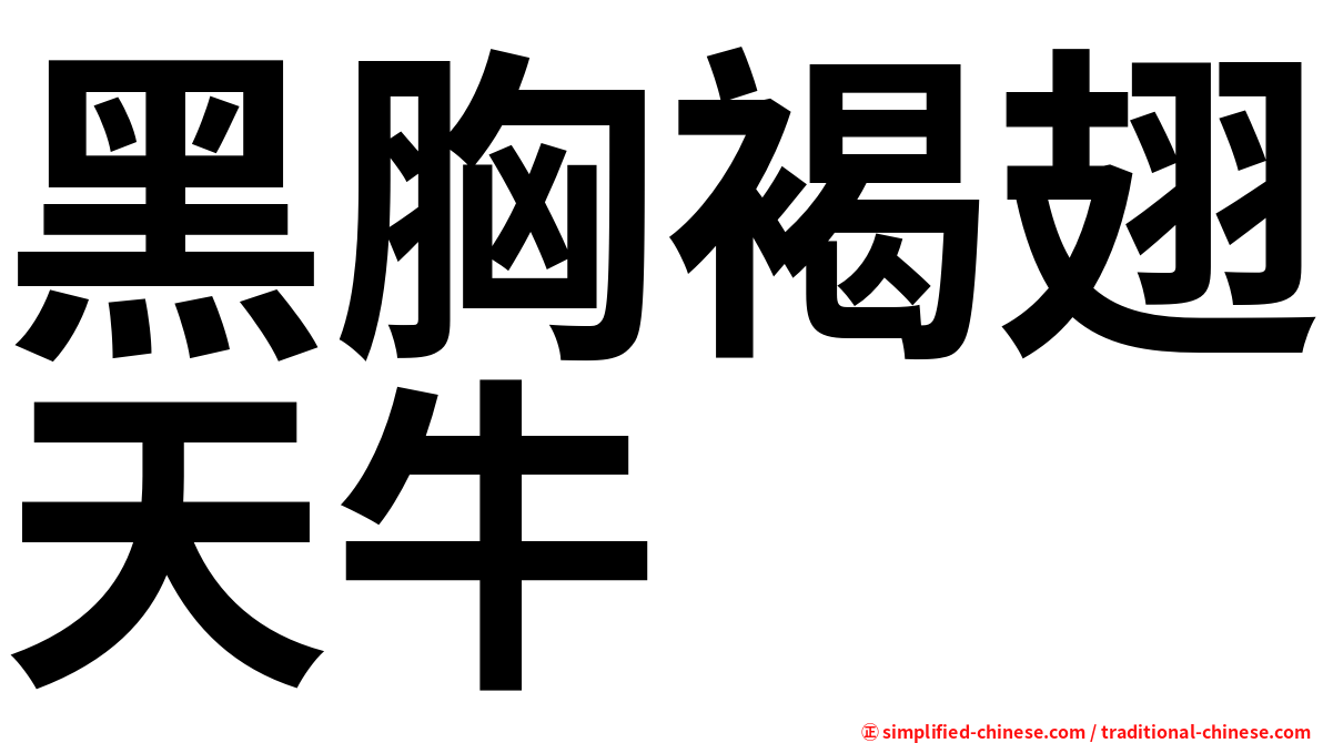 黑胸褐翅天牛