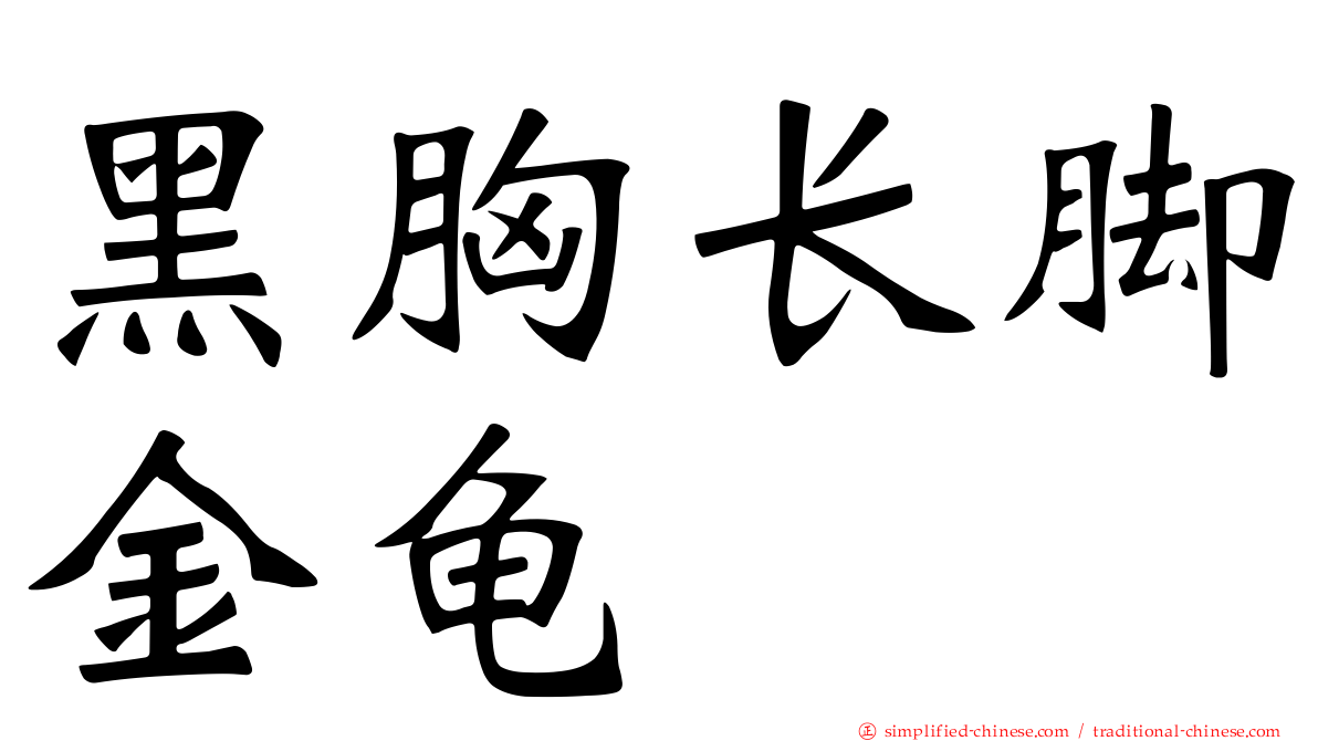 黑胸长脚金龟