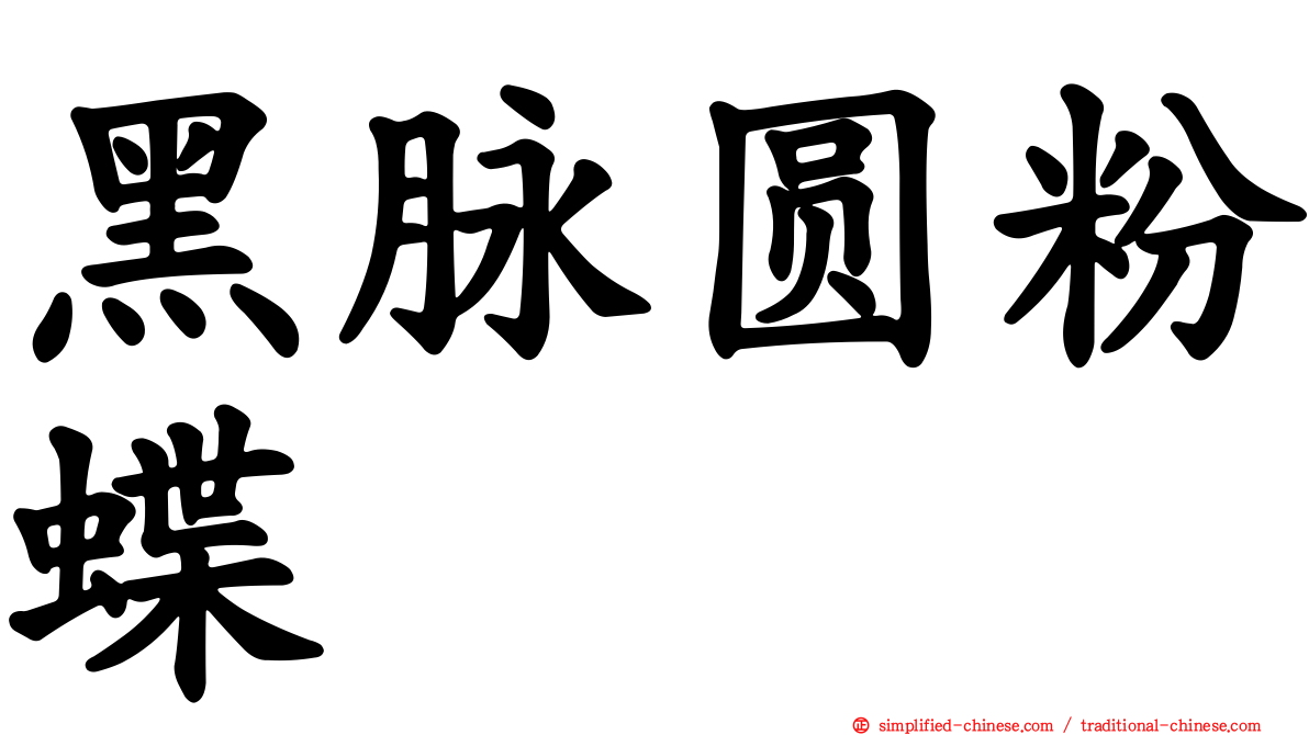 黑脉圆粉蝶