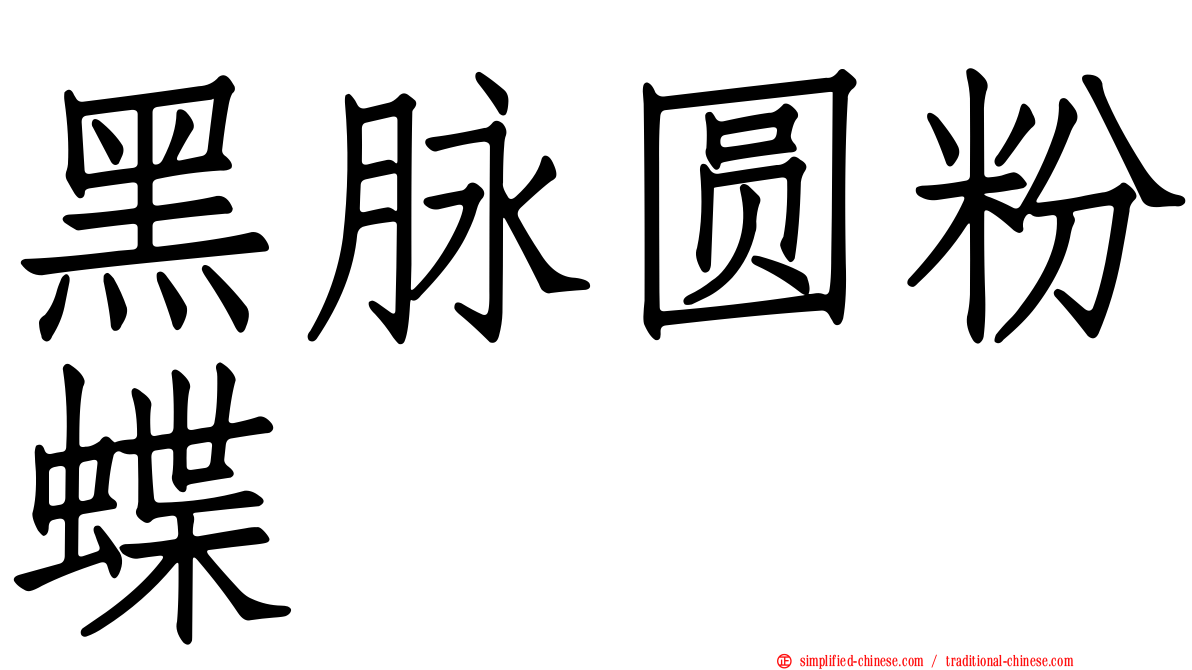 黑脉圆粉蝶