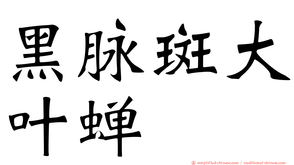 黑脉斑大叶蝉