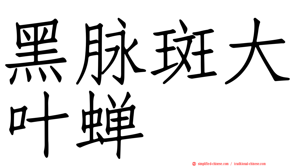 黑脉斑大叶蝉