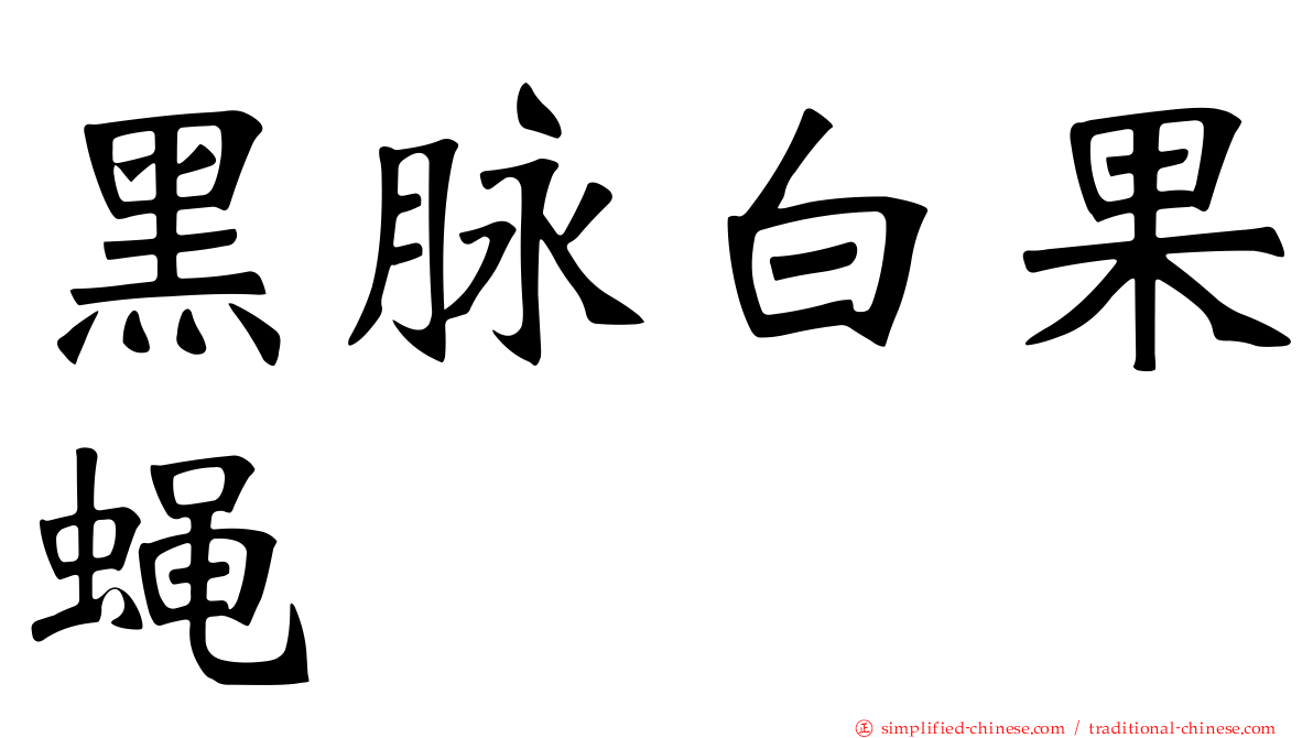 黑脉白果蝇