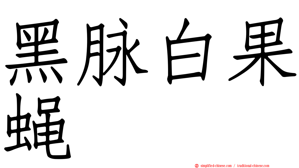 黑脉白果蝇