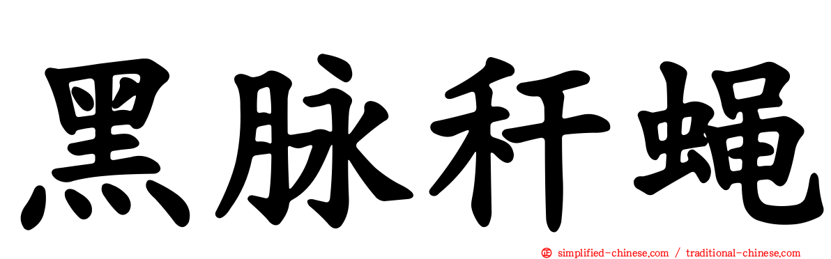 黑脉秆蝇