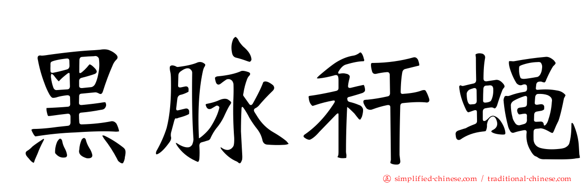 黑脉秆蝇
