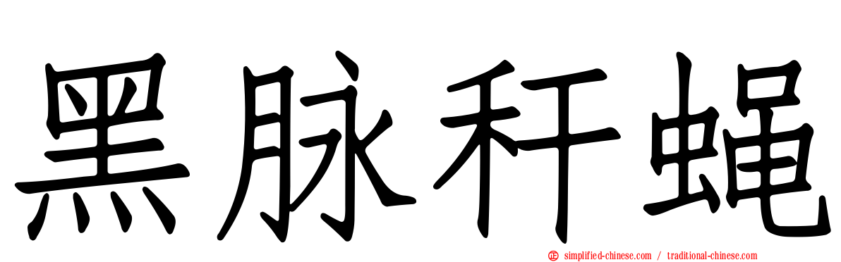 黑脉秆蝇
