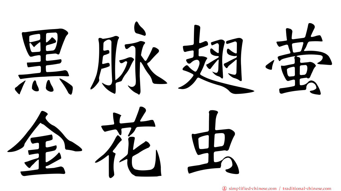 黑脉翅萤金花虫