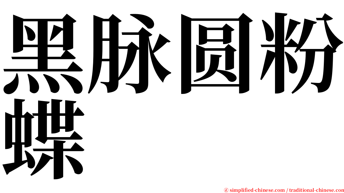 黑脉圆粉蝶 serif font