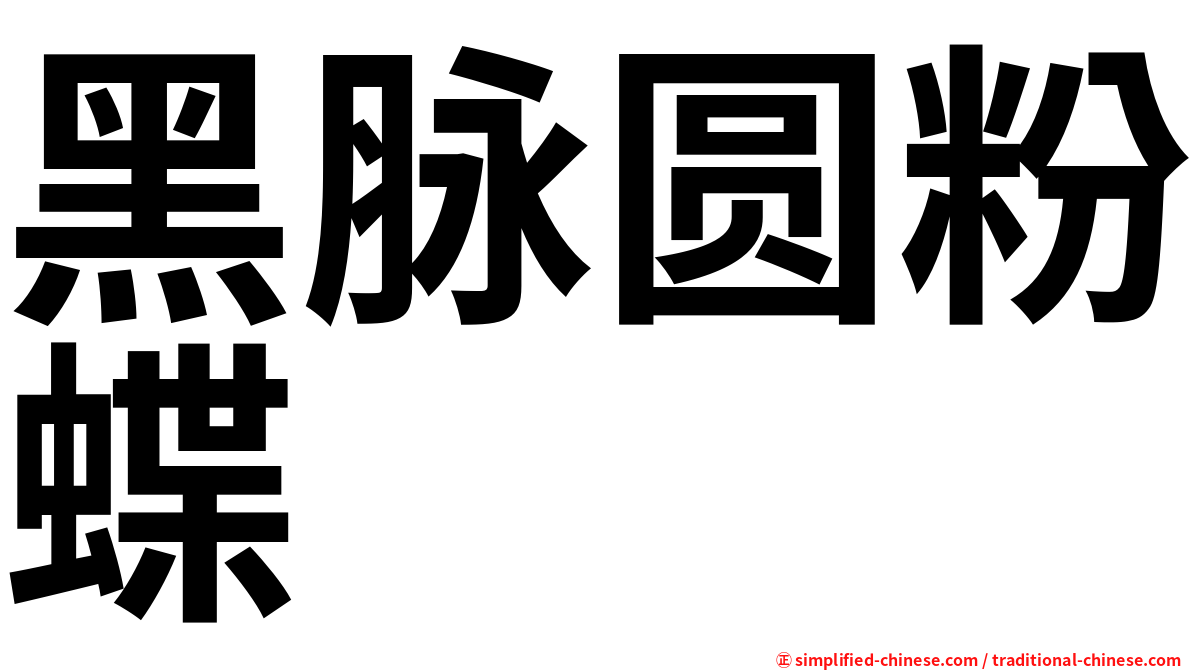 黑脉圆粉蝶