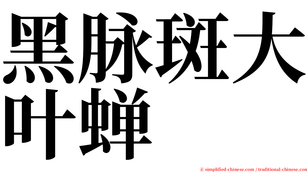 黑脉斑大叶蝉 serif font