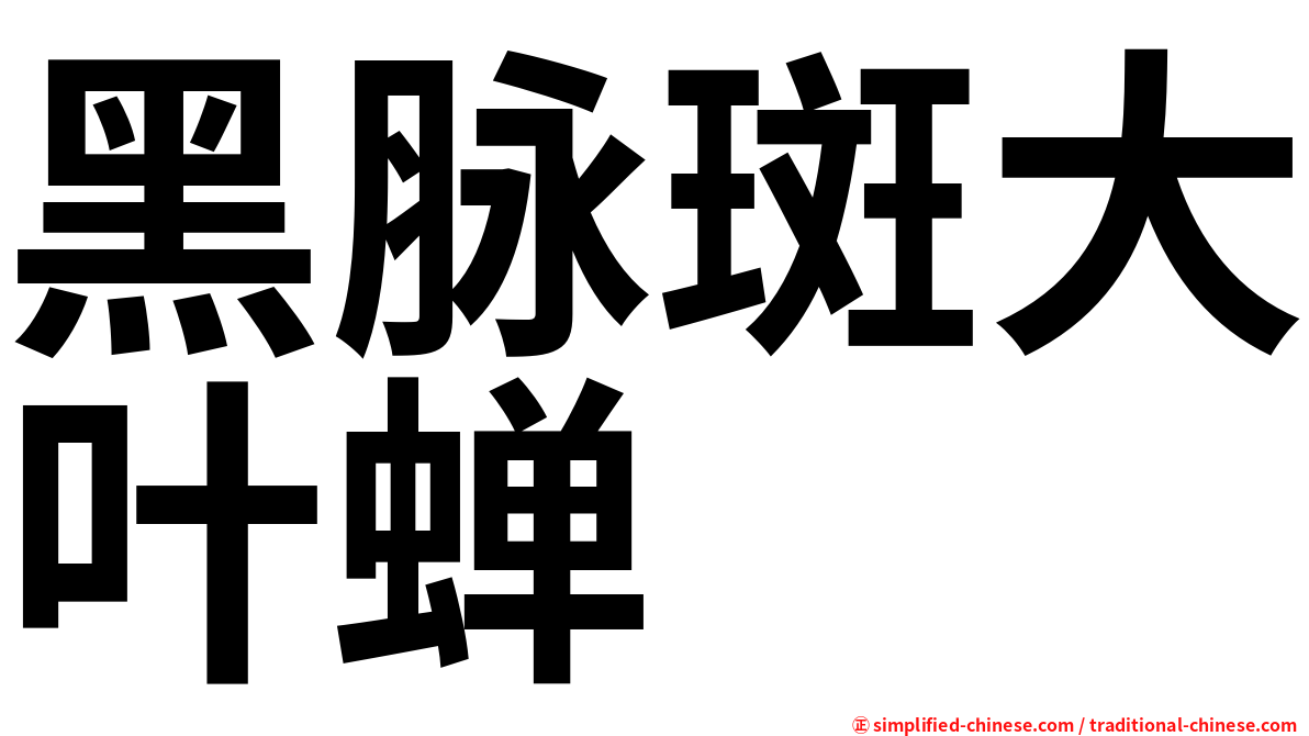 黑脉斑大叶蝉