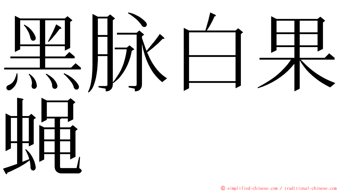 黑脉白果蝇 ming font