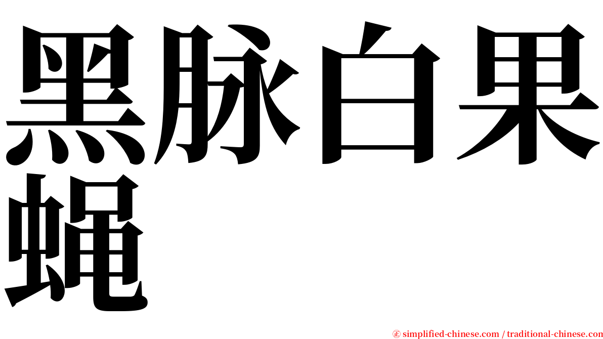 黑脉白果蝇 serif font