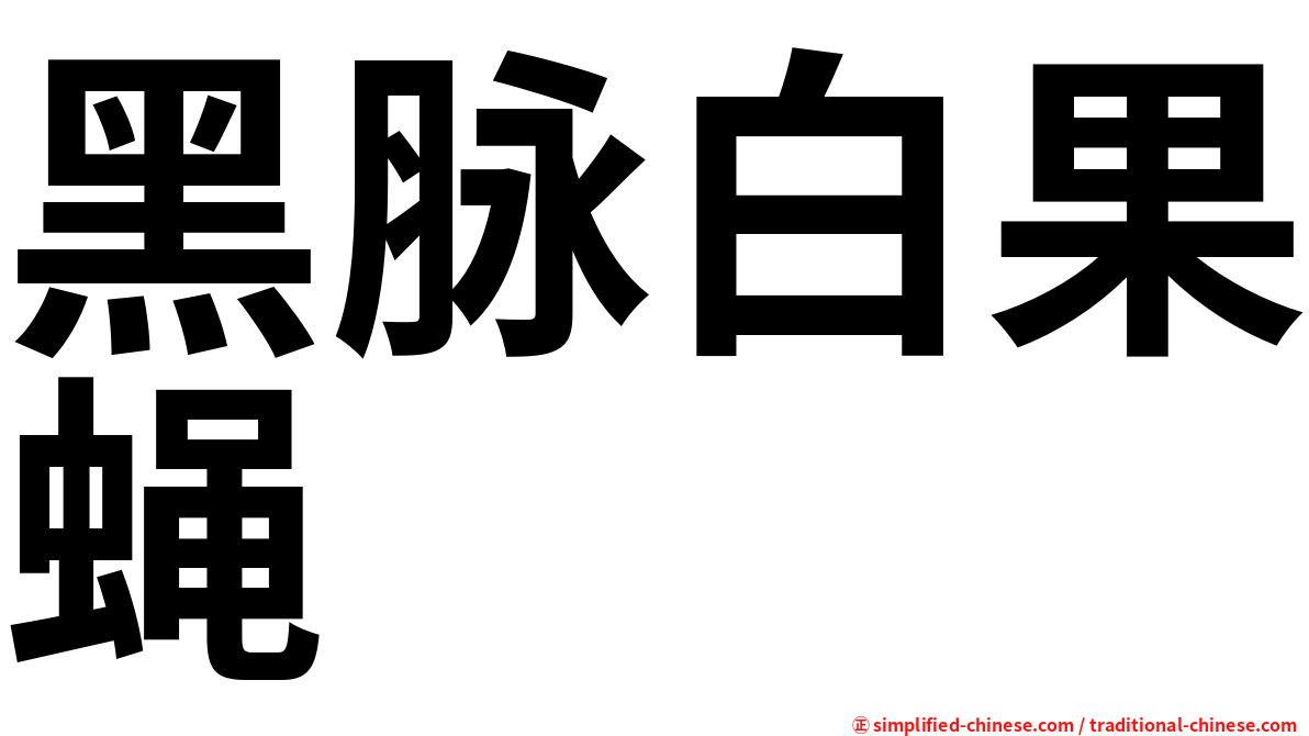 黑脉白果蝇