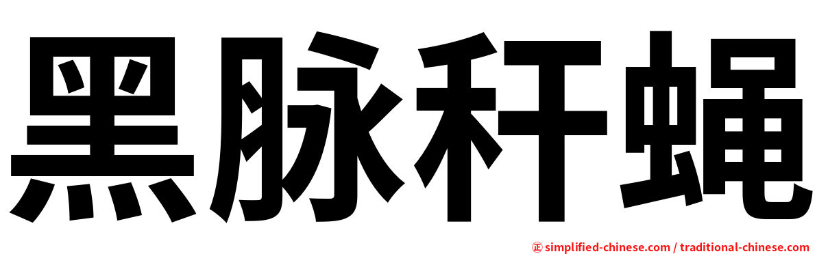 黑脉秆蝇