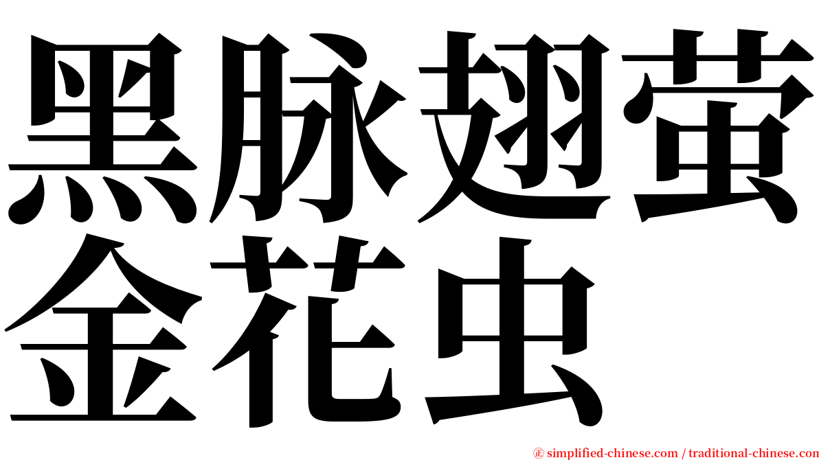 黑脉翅萤金花虫 serif font