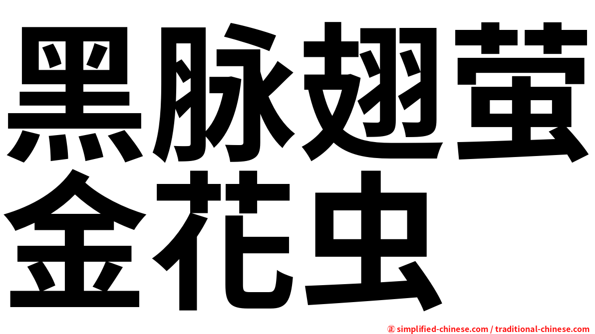 黑脉翅萤金花虫