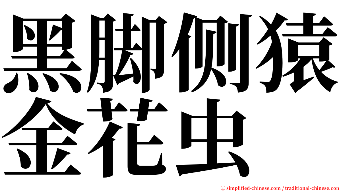 黑脚侧猿金花虫 serif font