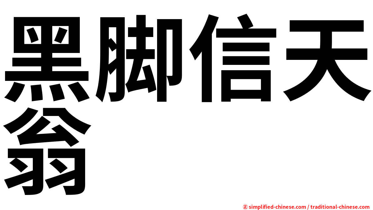 黑脚信天翁