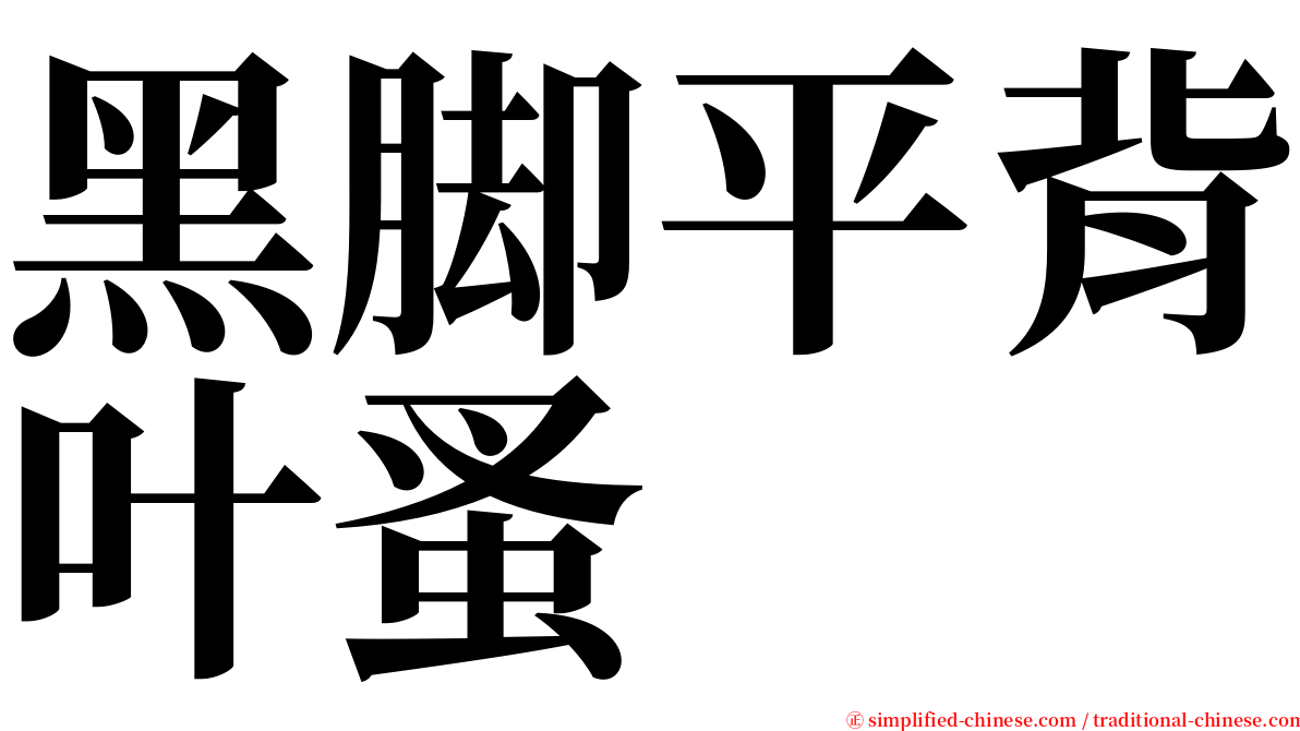 黑脚平背叶蚤 serif font