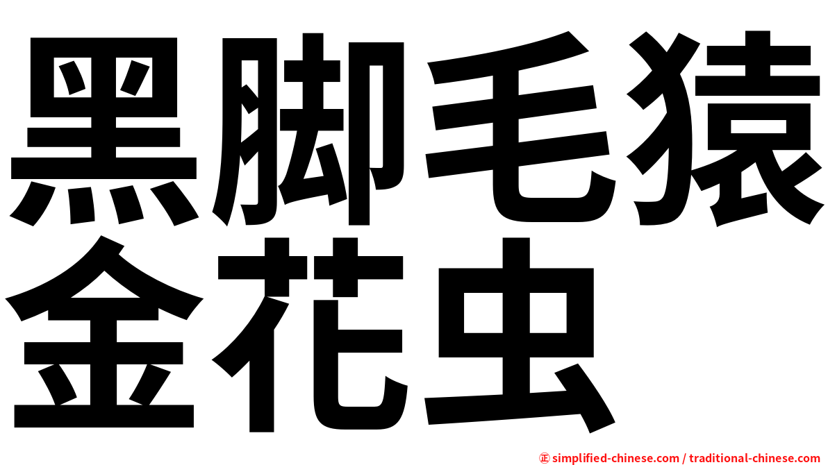 黑脚毛猿金花虫